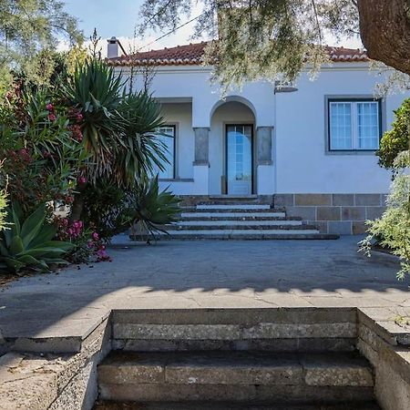 Challet Ericeira Villa Buitenkant foto