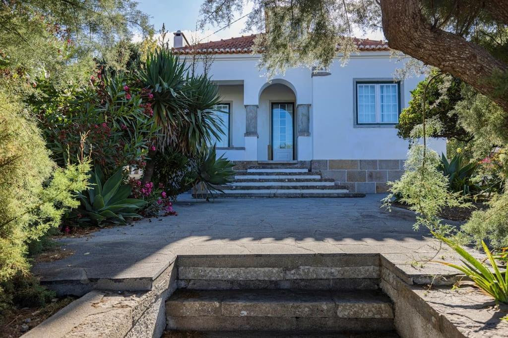 Challet Ericeira Villa Buitenkant foto