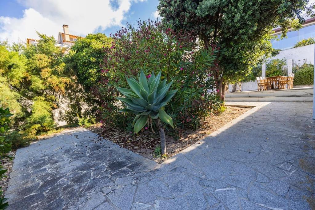 Challet Ericeira Villa Buitenkant foto