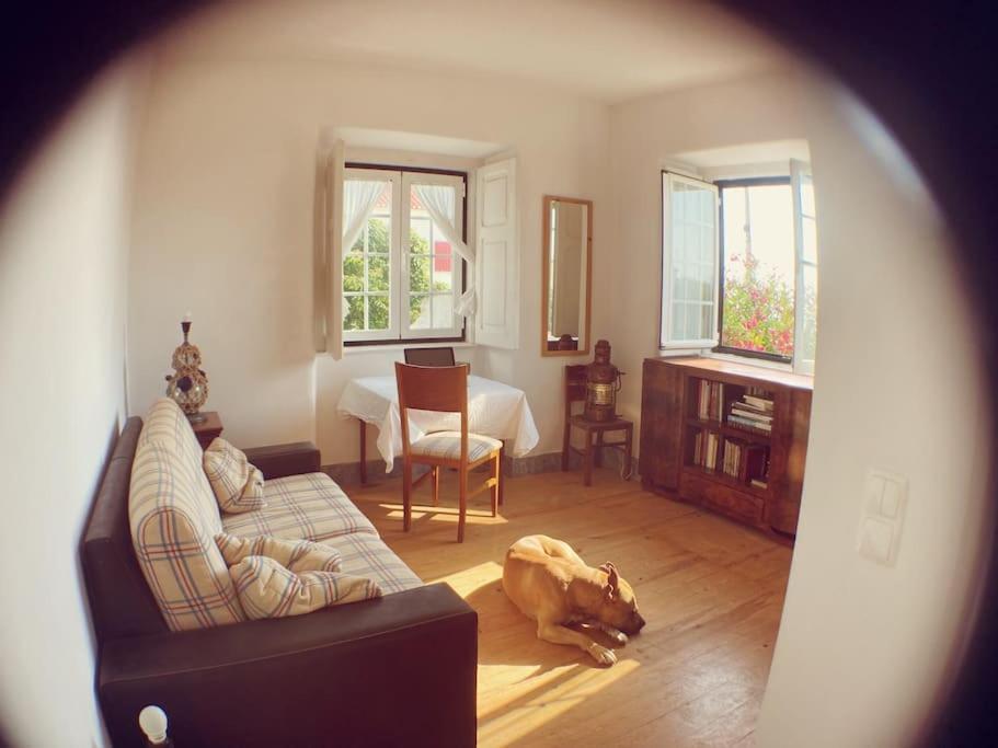 Challet Ericeira Villa Buitenkant foto