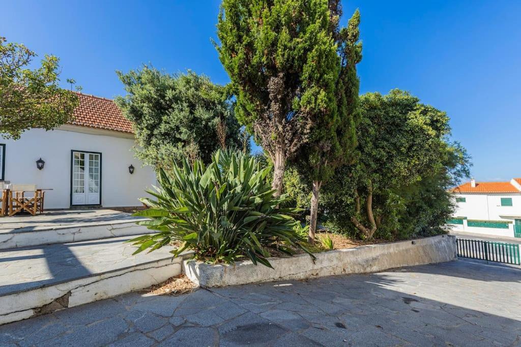 Challet Ericeira Villa Buitenkant foto