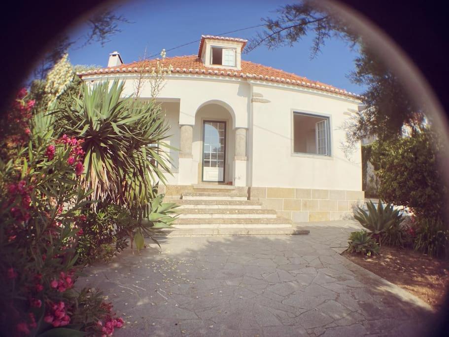 Challet Ericeira Villa Buitenkant foto